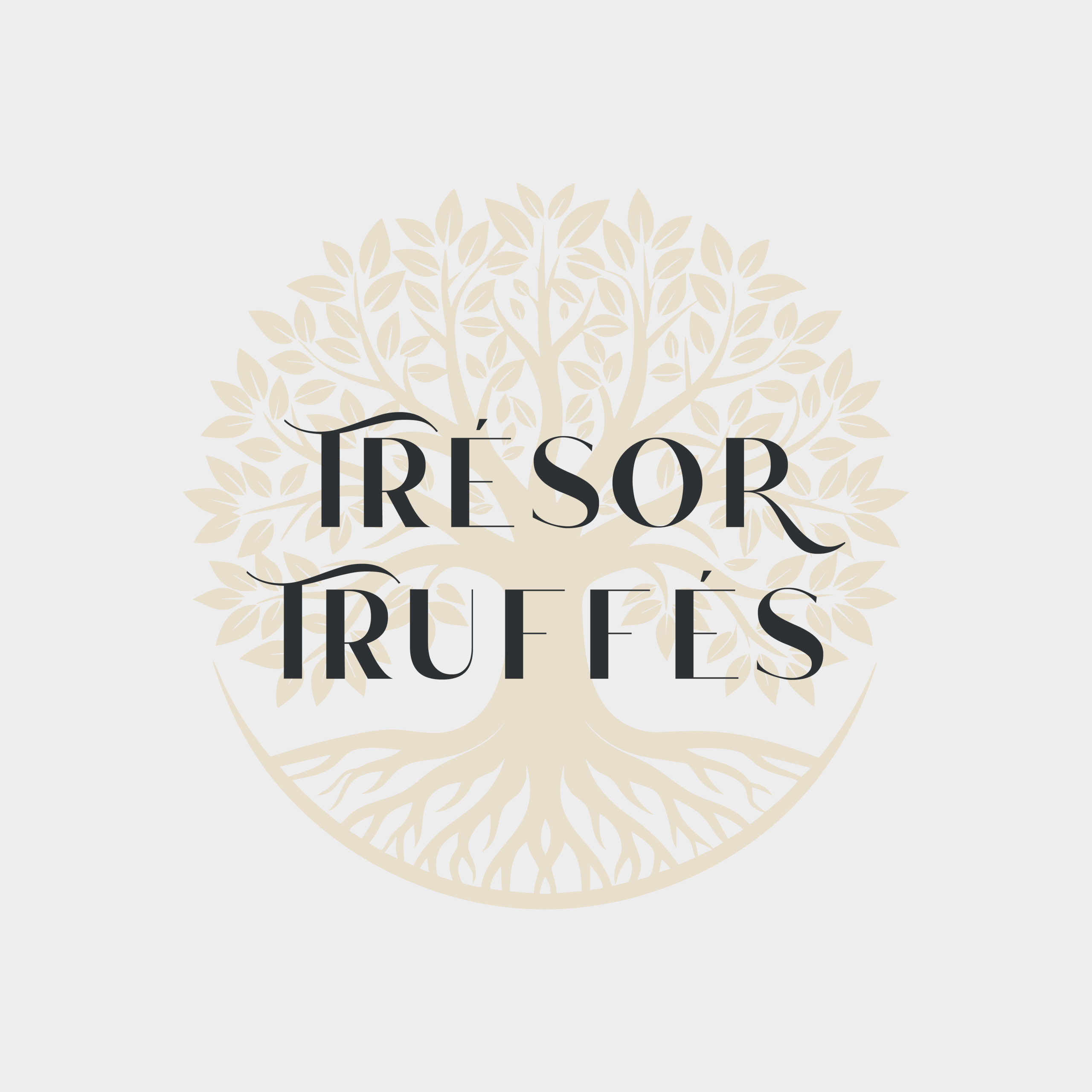 TRÉSOR TRUFFÉS