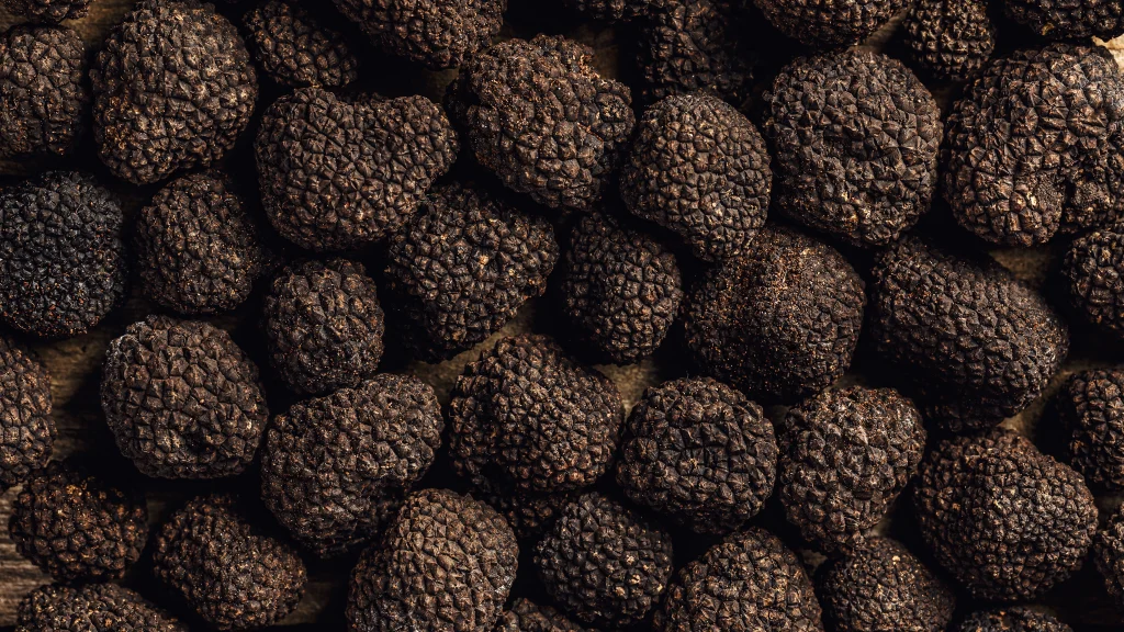 truffe