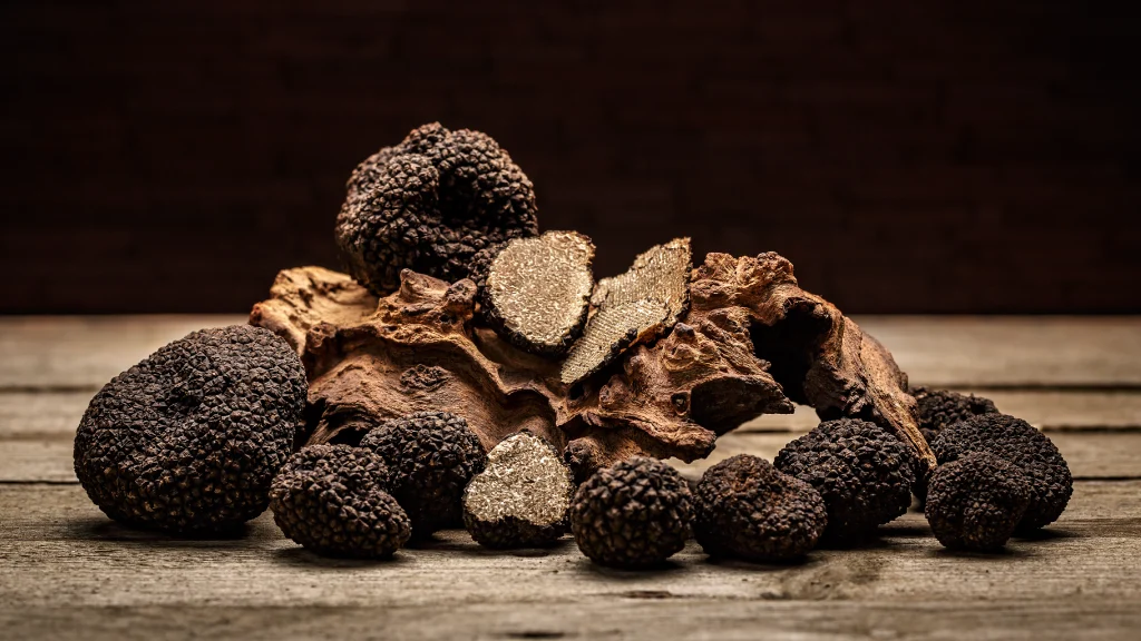 truffe2